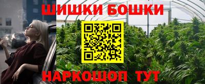 МДПВ Будённовск