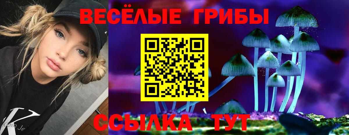 Озёры  Галлюциногенные грибы MAGIC MUSHROOMS  Вход с VPN 