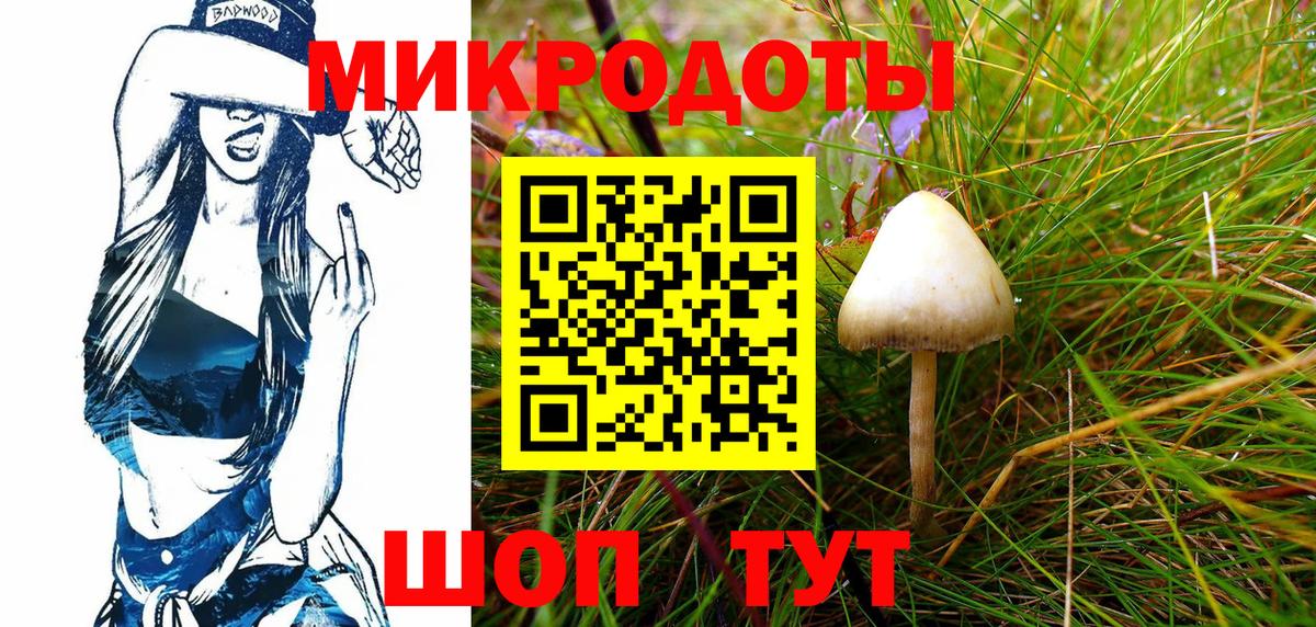 Псилоцибиновые грибы Psilocybe Озёры
